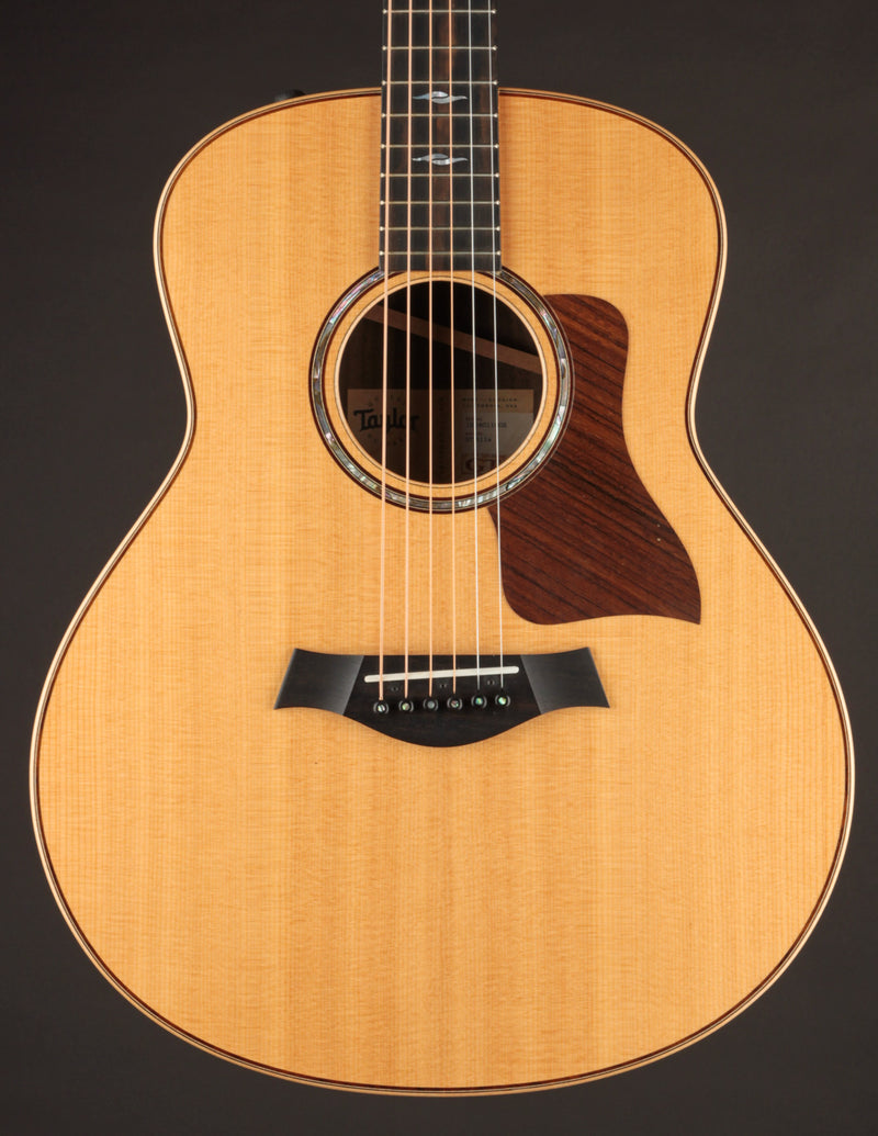 Taylor GT 811e (USED, 2021)