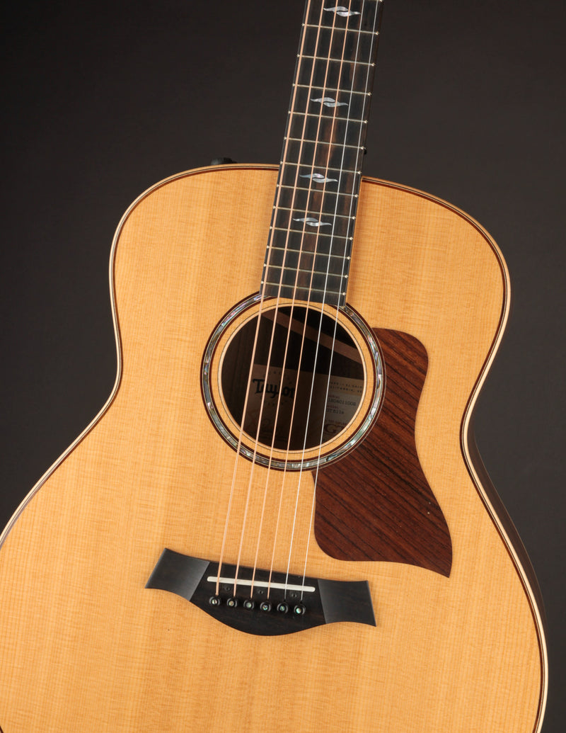 Taylor GT 811e (USED, 2021)