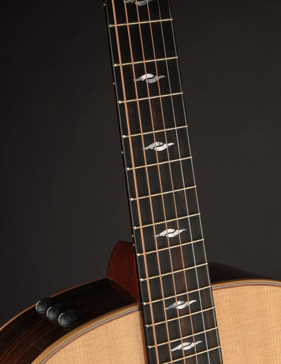 Taylor GT 811e (USED, 2021)