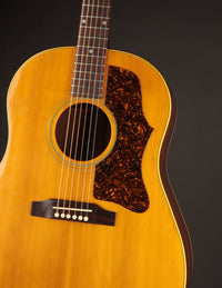 Gibson J-50 (1964)