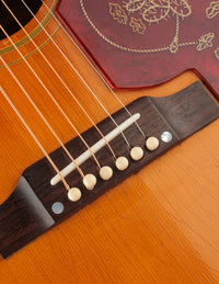 Epiphone Frontier FT-110 (1967)