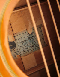 Epiphone Frontier FT-110 (1967)