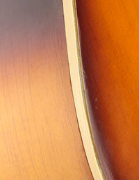 Epiphone Frontier FT-110 (1967)