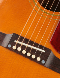 Epiphone Frontier FT-110 (1967)