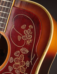 Epiphone Frontier FT-110 (1967)