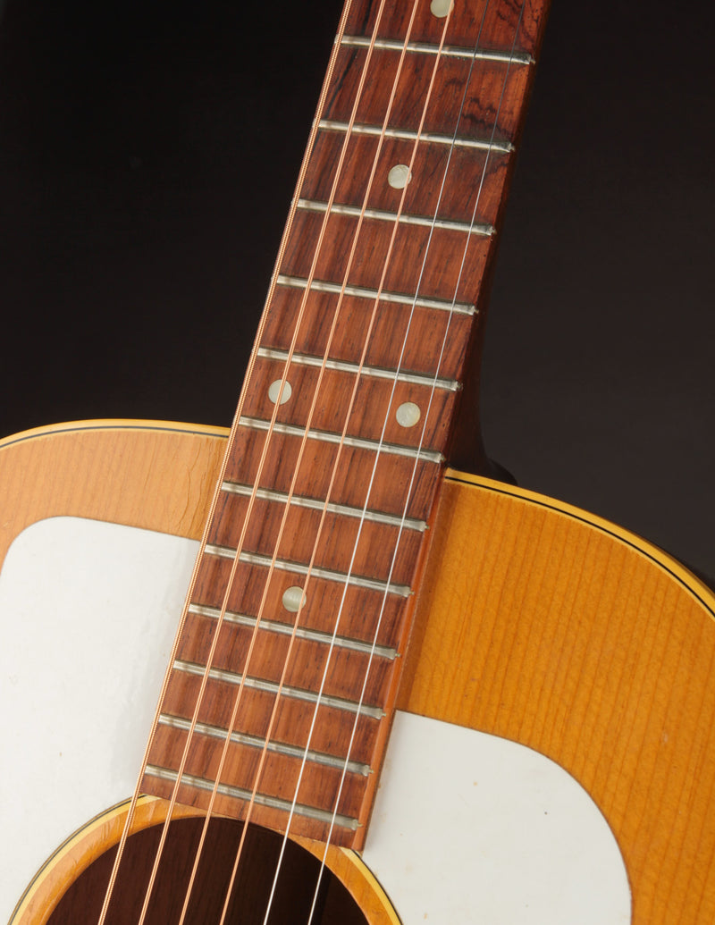Gibson F-25 Folksinger (1963)