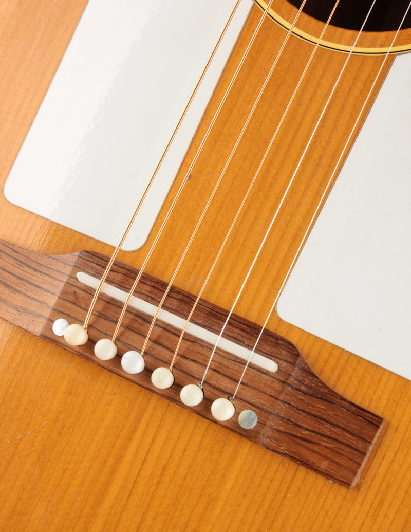 Gibson F-25 Folksinger (1963)