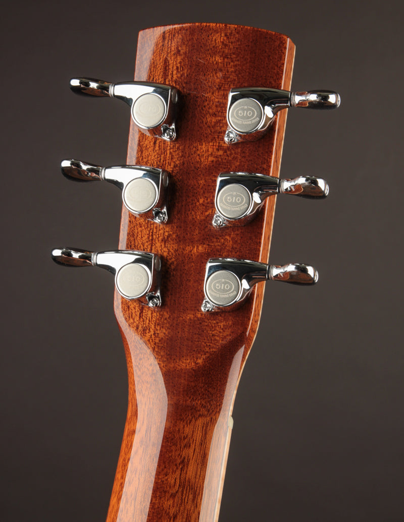 Beard A-Odyssey Spruce & Mahogany - Tinted Natural (2024)