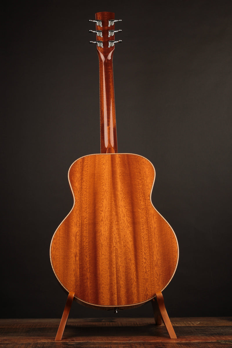 Beard A-Odyssey Spruce & Mahogany - Tinted Natural (2024)