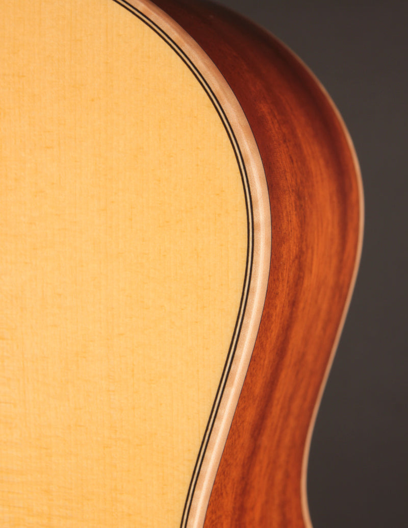 Beard A-Odyssey Spruce & Mahogany - Tinted Natural (2024)