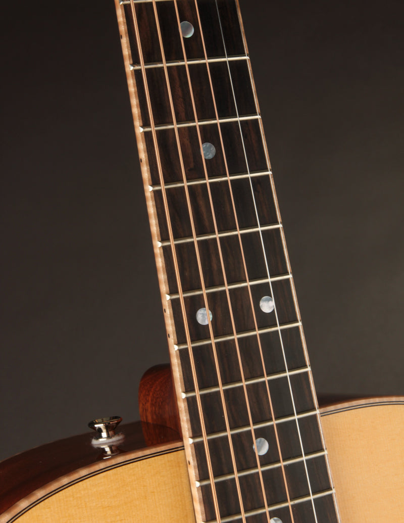 Beard A-Odyssey Spruce & Mahogany - Tinted Natural (2024)