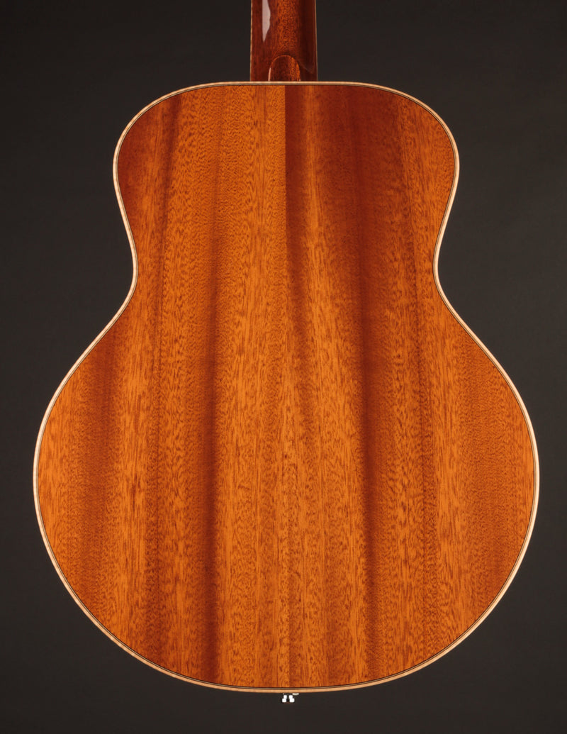 Beard A-Odyssey Spruce & Mahogany - Tinted Natural (2024)