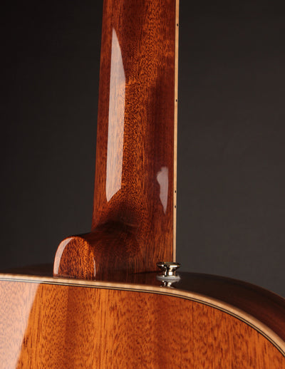 Beard A-Odyssey Spruce & Mahogany - Tinted Natural (2024)