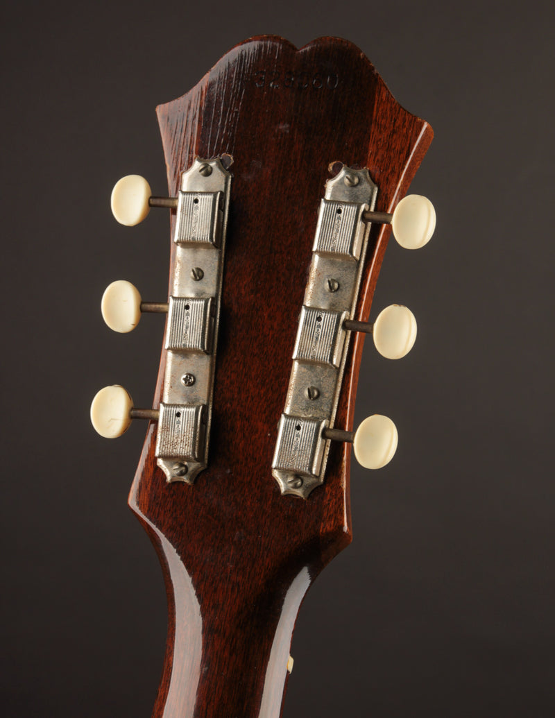 Epiphone FT-45 Cortez (1965)