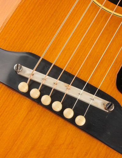 Epiphone FT-45 Cortez (1965)