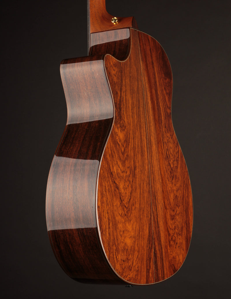 Taylor 714ce Limited Madagascar (2009)