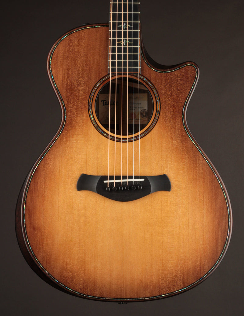 Taylor 912CE Builder&