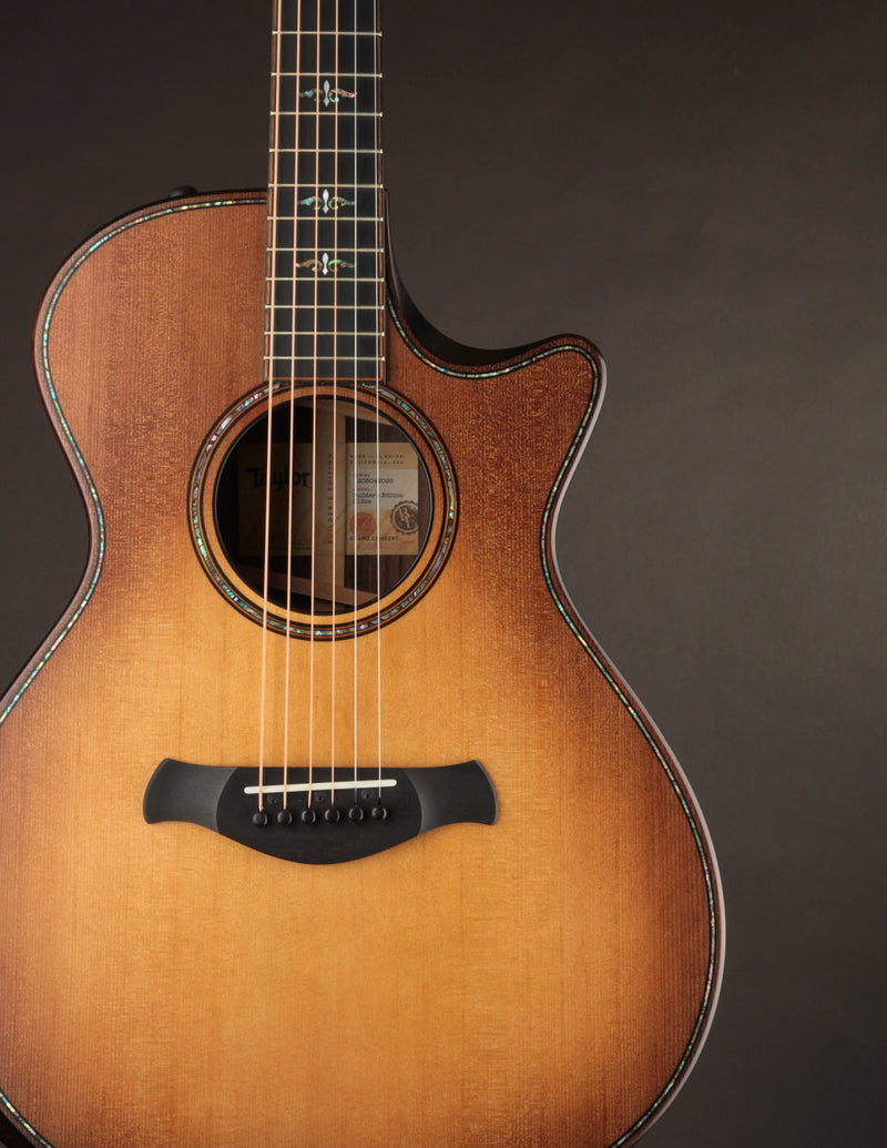 Taylor 912CE Builder&