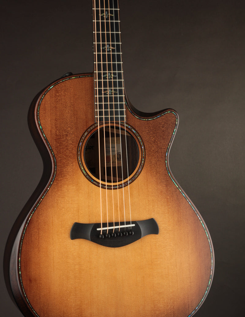 Taylor 912CE Builder&