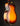 Close-up of a sunburst acoustic guitar on a dark background