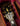 Guitar headstock with 'Gibson' branding
