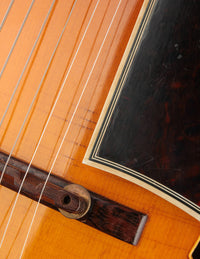 Close up of pickguard and bridge on a vintage archtop guitar