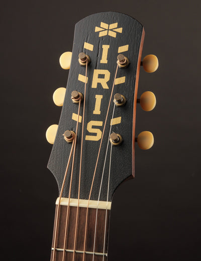 Iris OG Sunburst Adirondack Spruce (USED, 2021)