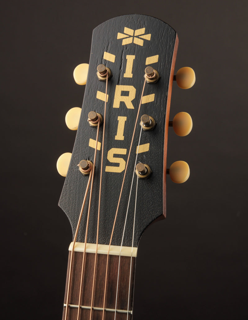 Iris OG Sunburst Adirondack Spruce (USED, 2021)