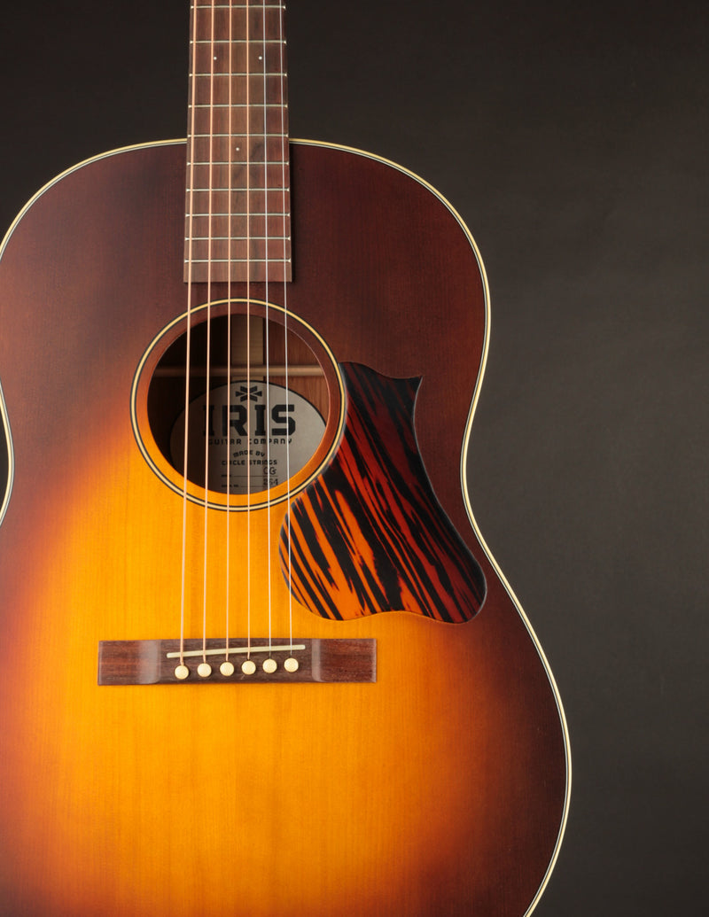 Iris OG Sunburst Adirondack Spruce (USED, 2021)