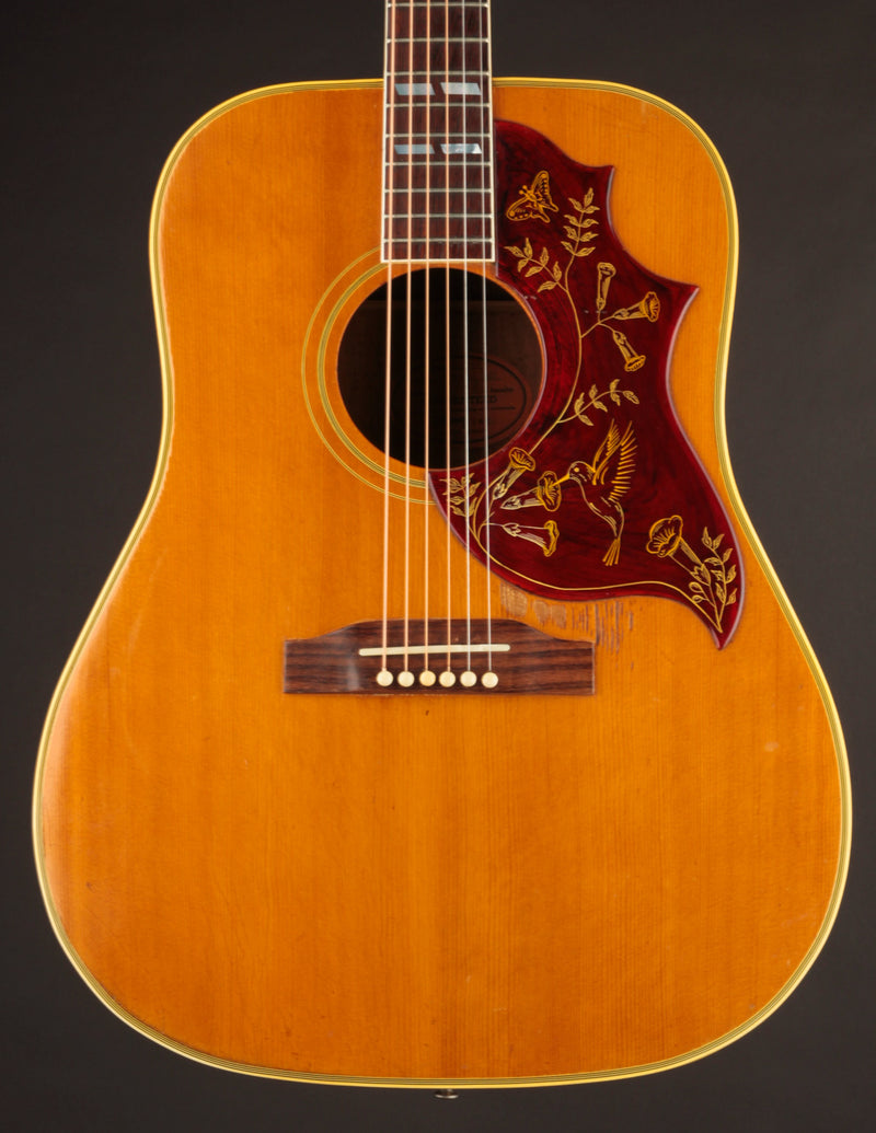 Gibson Hummingbird (1964)