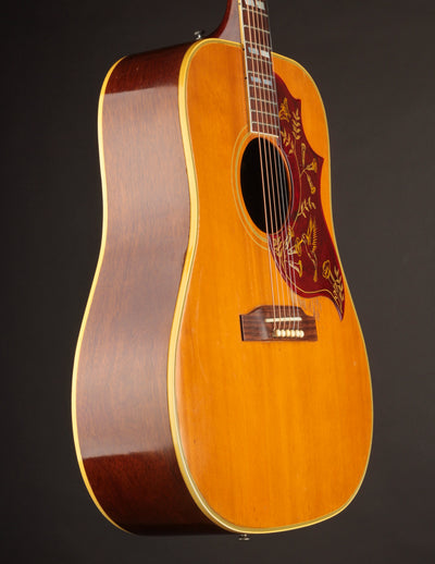 Gibson Hummingbird (1964)