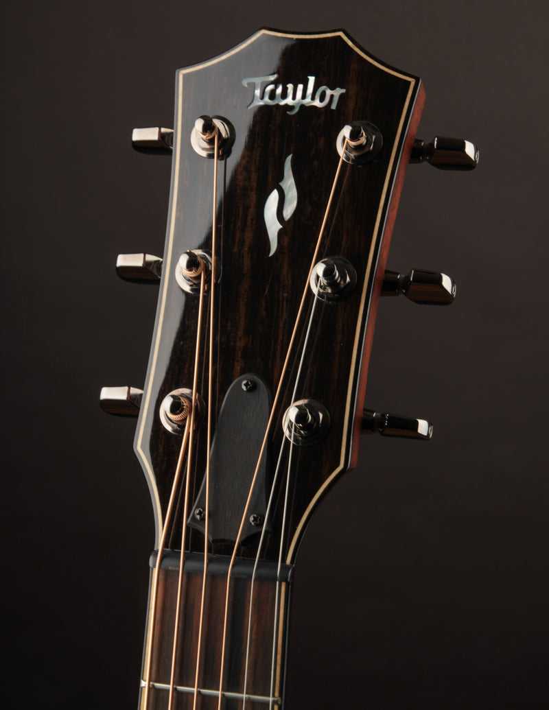 Taylor 814CE w/Bevel (USED, 2022)