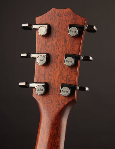 Taylor 814CE w/Bevel (USED, 2022)