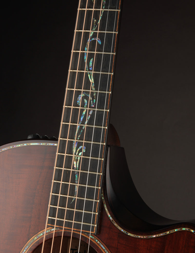 Taylor K24CE Builder&