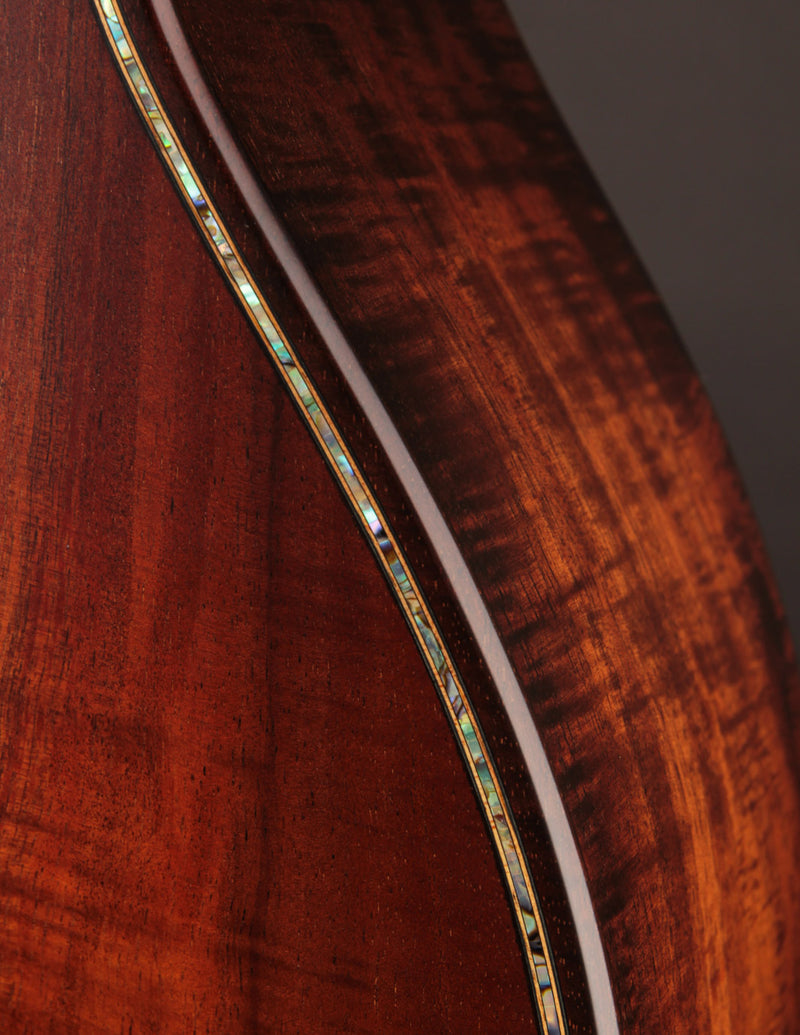 Taylor K24CE Builder&