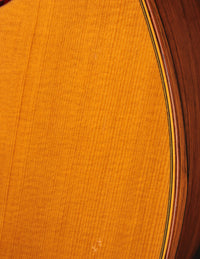 Schoenberg Soloist Brazilian (USED, 1986)