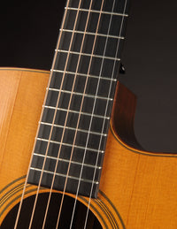 Schoenberg Soloist Brazilian (USED, 1986)