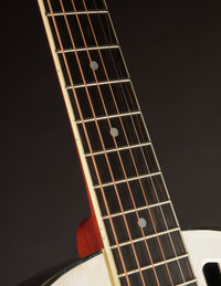 National Style 1 Tricone (USED, c. 2010)