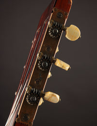 Martin 2-24 (1870s)