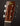 Close-up of a guitar headstock with Atkin logo on a dark background
