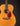 Acoustic guitar with a tortoiseshell pickguard on a black background