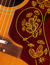 Epiphone FT-110N Frontier, Natural (1963)