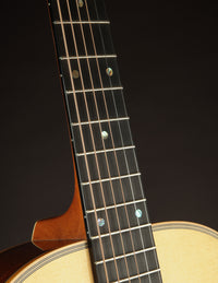 Froggy Bottom H-12 (USED, 1995)