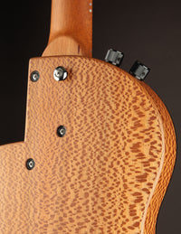 Rick Turner Renaissance RS6 Sycamore Nylon String (USED)
