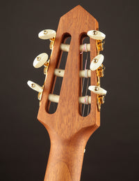 Rick Turner Renaissance RS6 Sycamore Nylon String (USED)