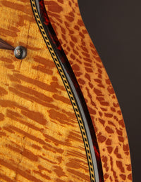 Rick Turner Renaissance RS6 Sycamore Nylon String (USED)