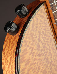 Rick Turner Renaissance RS6 Sycamore Nylon String (USED)