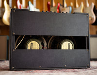 Park guitar amplifier, back view