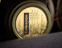 Park guitar amplifier, close up of speaker