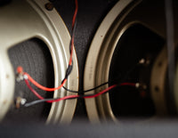 Park guitar amplifier, close up of speakers